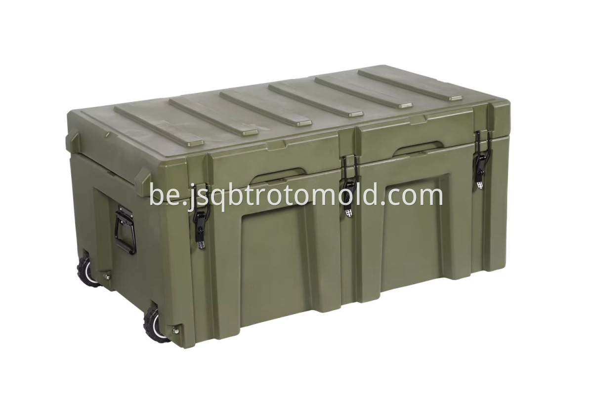 case (2)